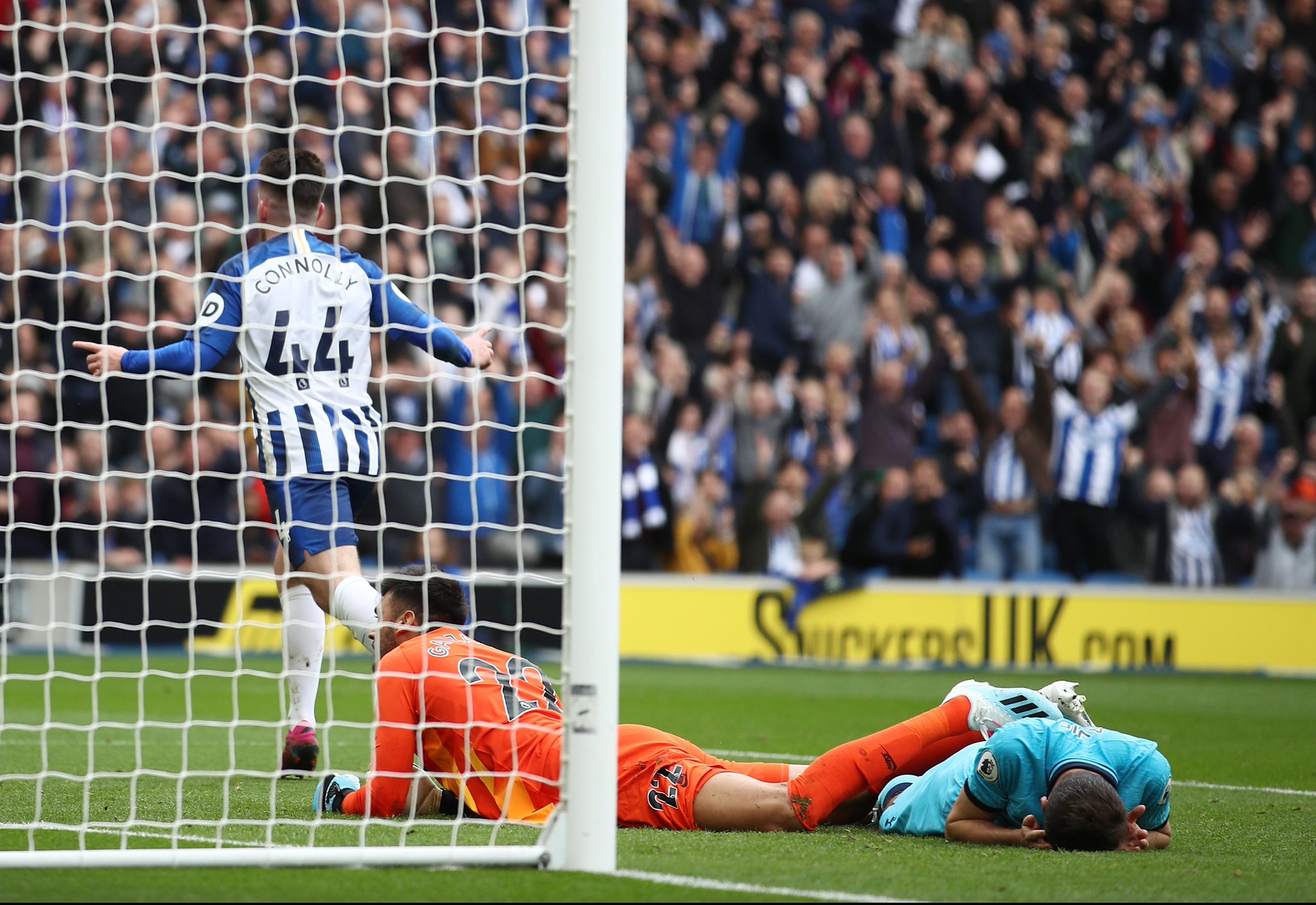 老鹰队友为 老鹰队友为