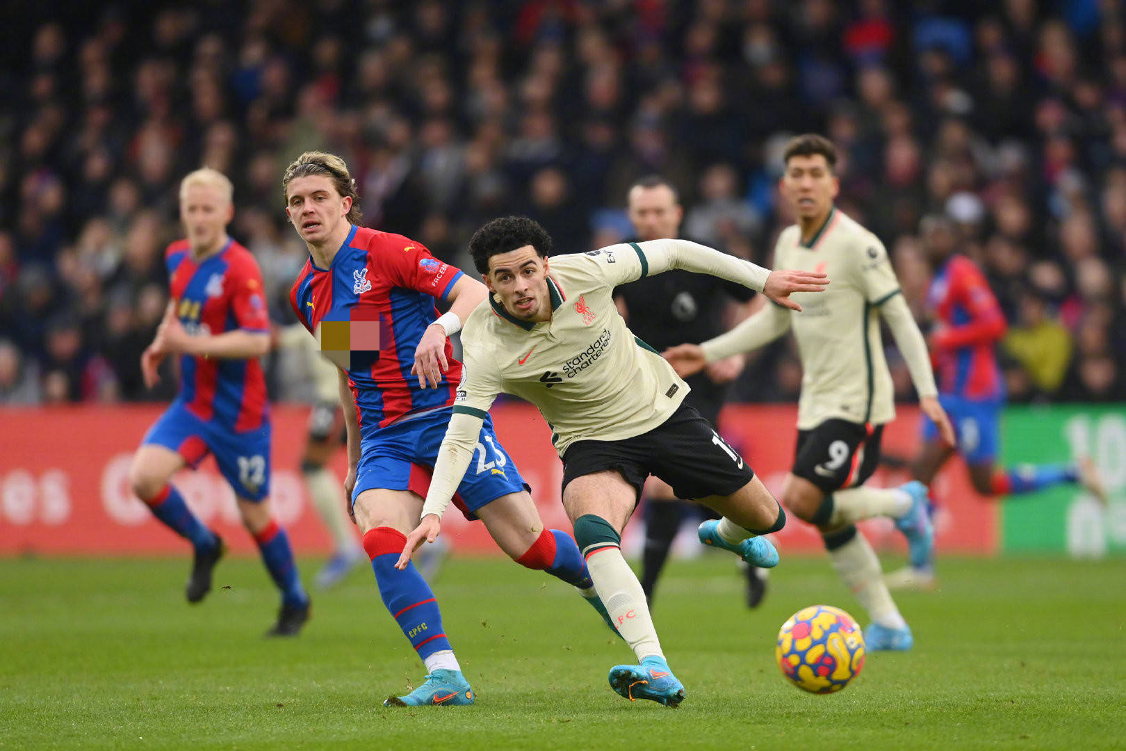 外籍教練在 外籍教練在